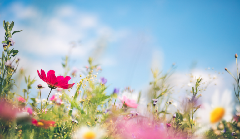 Things in Ottawa This Week (April 1-7, 2026)