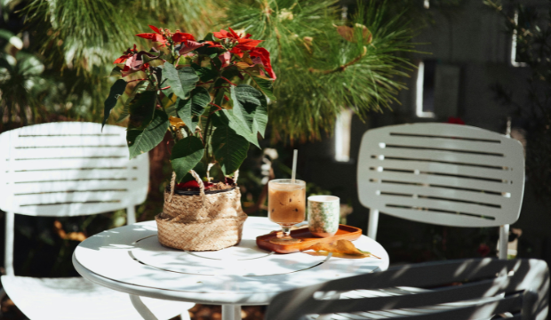 Best Cafes in Westboro