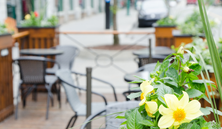 Best Patios in Westboro Ottawa
