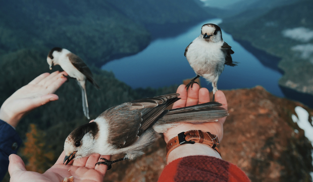 Family Things to Do in Ottawa