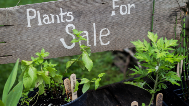 Friends of the Farm Plant Sale