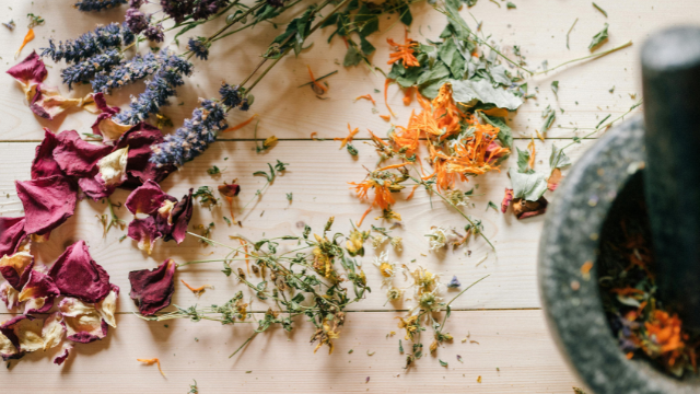 OTTAWA – MOTHERS IN BLOOM HOLISTIC HEALING FAIR