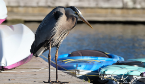 Things to Do in Ottawa (By Budget, Season & Situation)