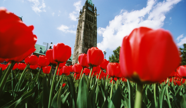 Top 15 Things Happening in Ottawa This Week (May 4-8)