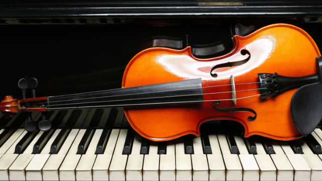 Trio INK + 1_ Schumann and Brahms