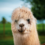 613 Times - gallery image 2