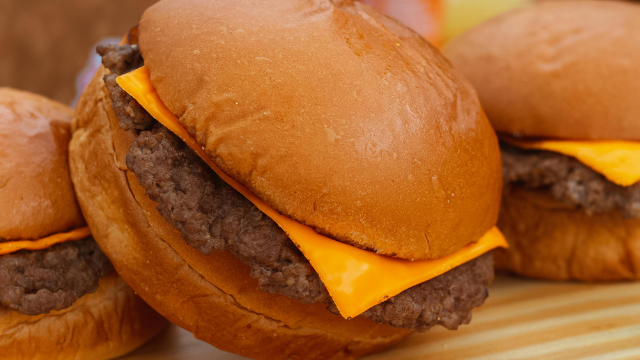 Randy's-Cheeseburger-Picnic-(Trailer-Park-Boys)-Ottawa-ON