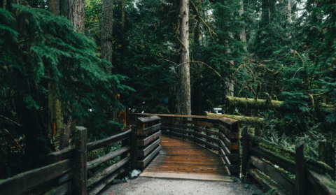 things-to-do-in-tofino