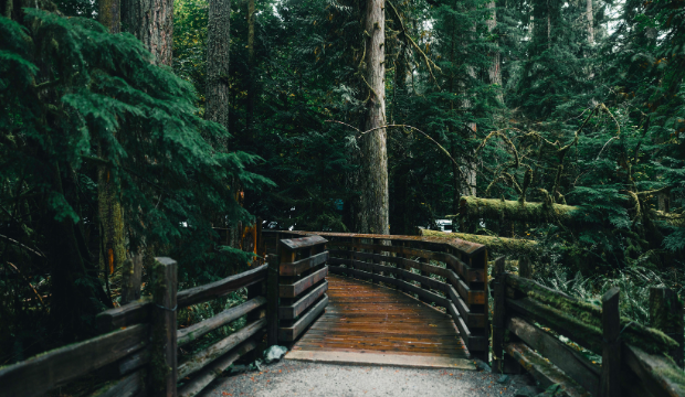 things-to-do-in-tofino